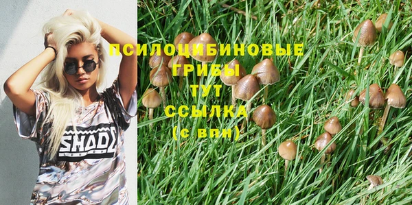 ПСИЛОЦИБИНОВЫЕ ГРИБЫ Балабаново