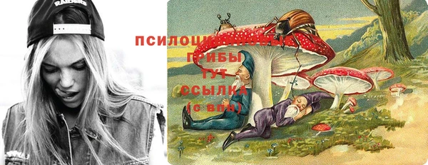 ПСИЛОЦИБИНОВЫЕ ГРИБЫ Балабаново