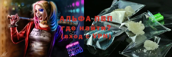 ПСИЛОЦИБИНОВЫЕ ГРИБЫ Балабаново