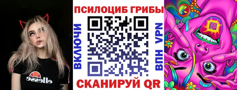 Галлюциногенные грибы Cubensis  цена наркотик  Николаевск 